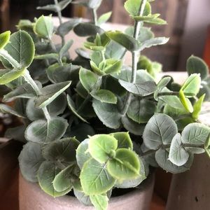 Meet your Posher, France